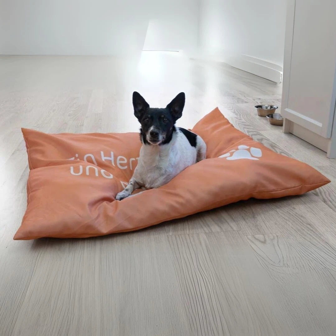 hundekissen hundebett schlafplatz hundematte tierbett katzenbett orange